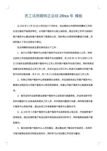 员工试用期转正总结20xx年
