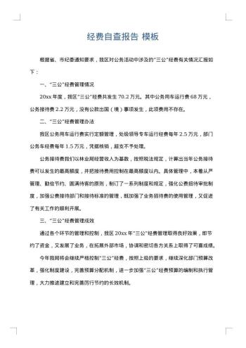 经费自查报告