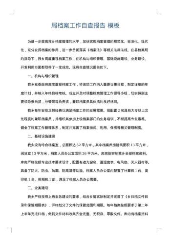 局档案工作自查报告