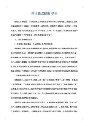 统计整改报告