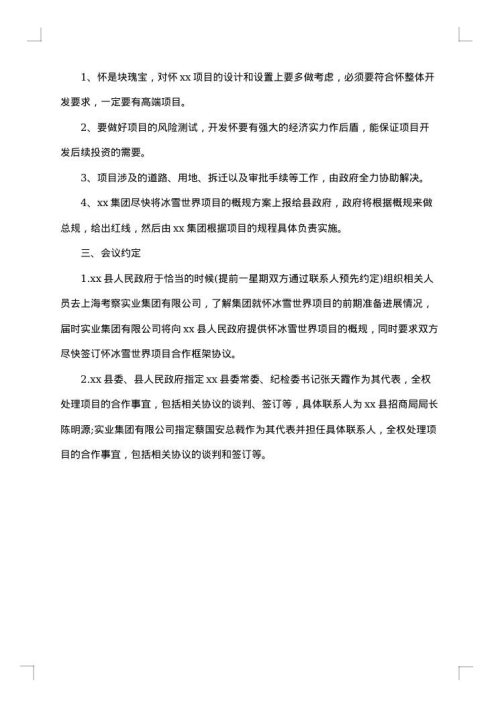 项目洽谈会议纪要