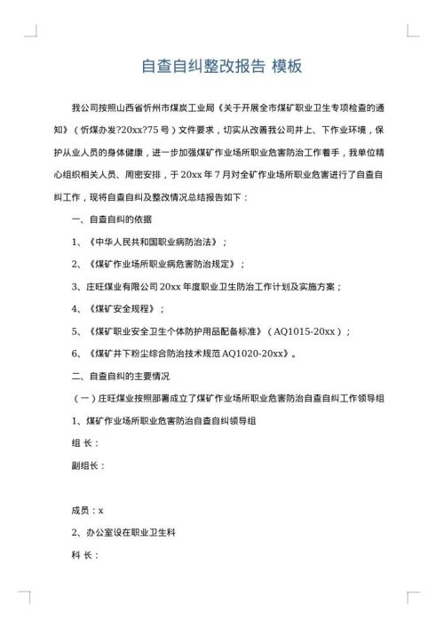 自查自纠整改报告
