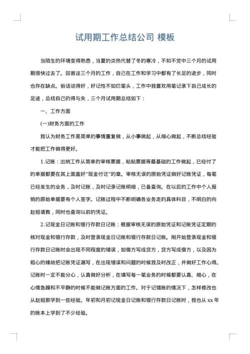 试用期工作总结公司