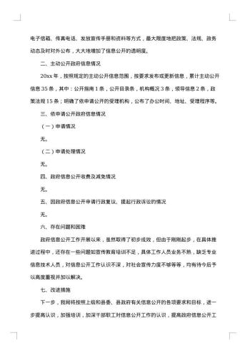 政府干部年度考核个人总结报告