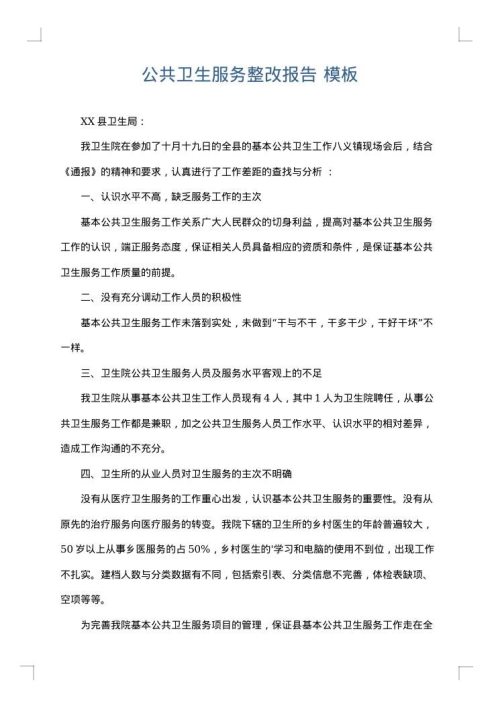 公共卫生服务整改报告
