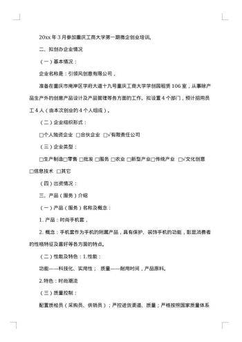 创业企业运营计划书