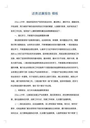 述责述廉报告