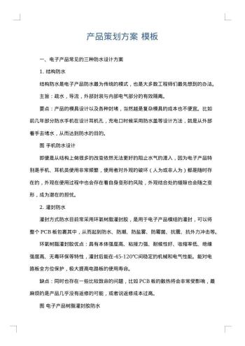 产品策划方案