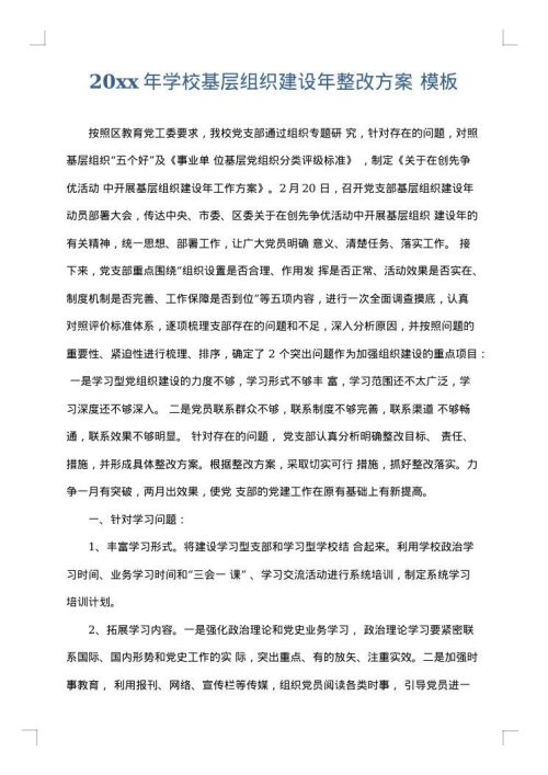 2025年学校基层组织建设年整改方案