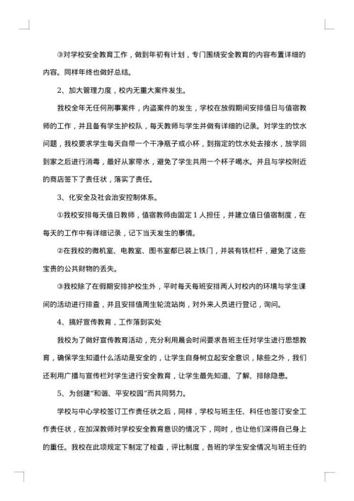 自检自查报告