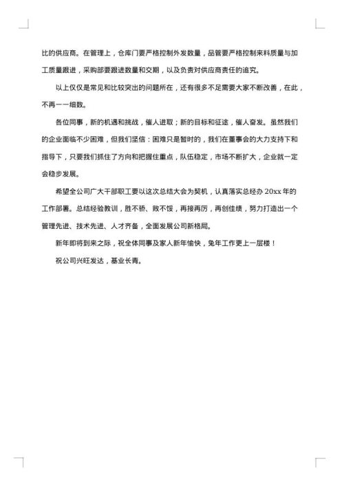 2025年总经理述职述廉报告