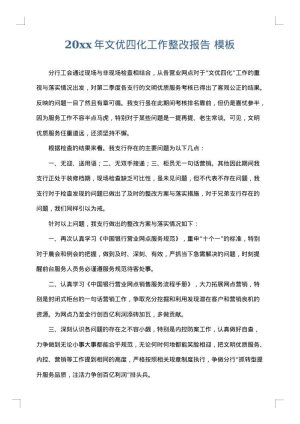 2025年文优四化工作整改报告