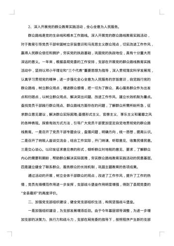 支部年度工作报告