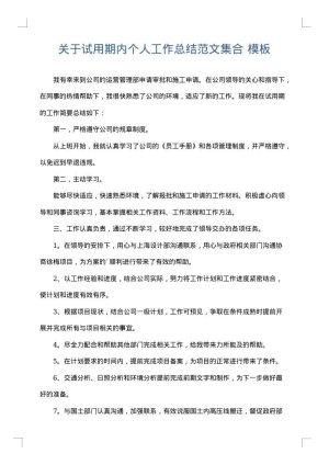 关于试用期内个人工作总结范文集合