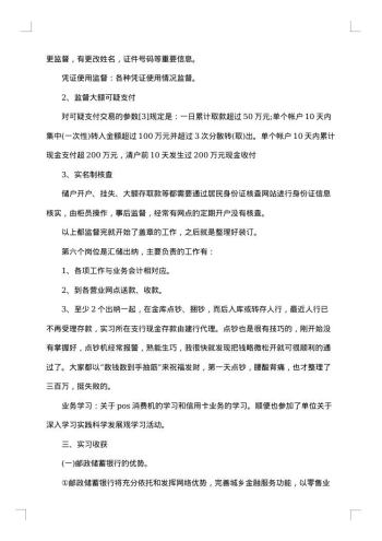 最新实践报告范文3000字