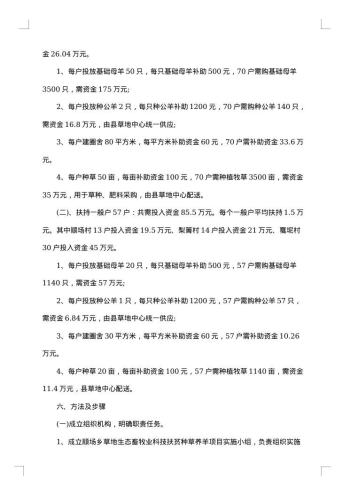 项目实施工作方案