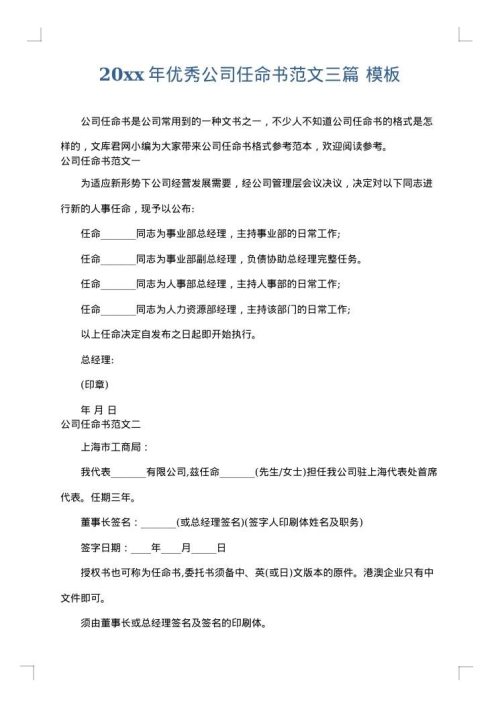 2025年优秀公司任命书范文三篇