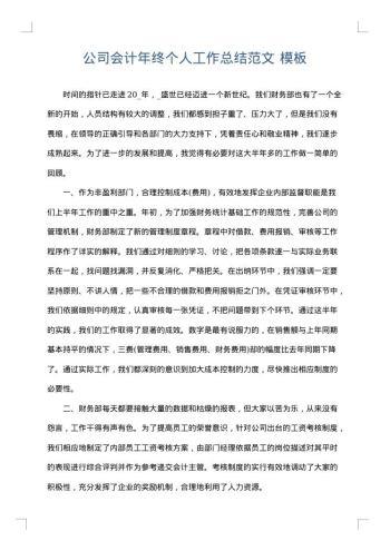 公司会计年终个人工作总结范文