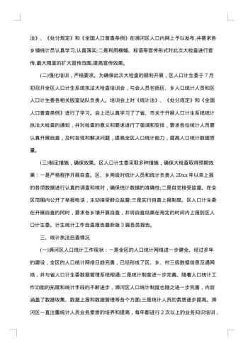 统计自查报告