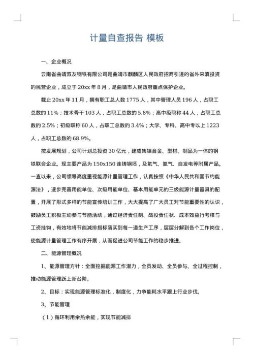 计量自查报告