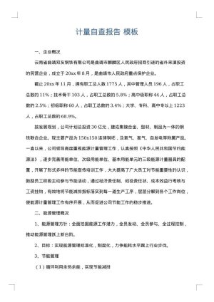 计量自查报告