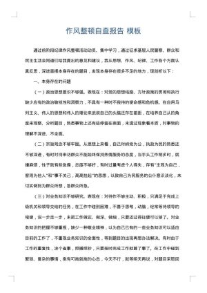 作风整顿自查报告