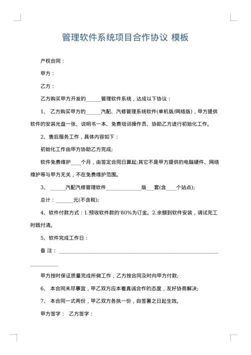 管理软件系统项目合作协议