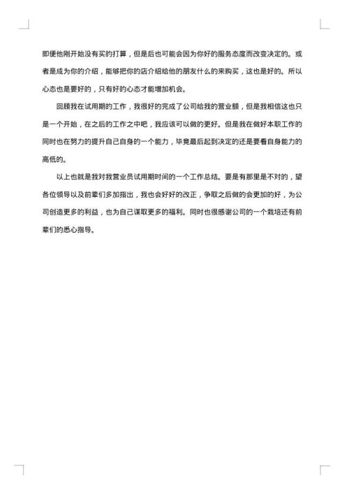 零食营业员试用期工作总结