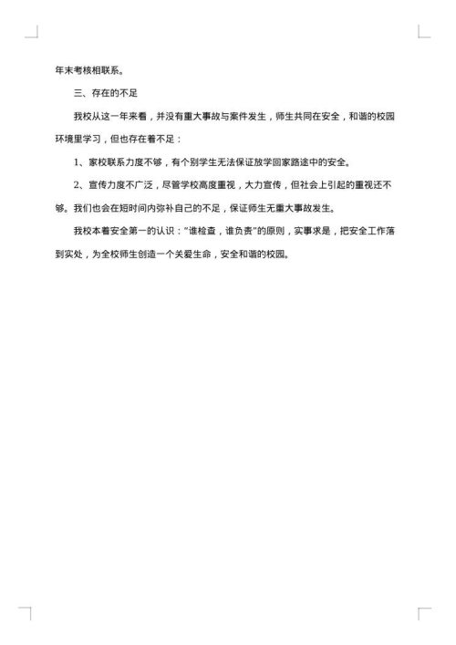 自检自查报告
