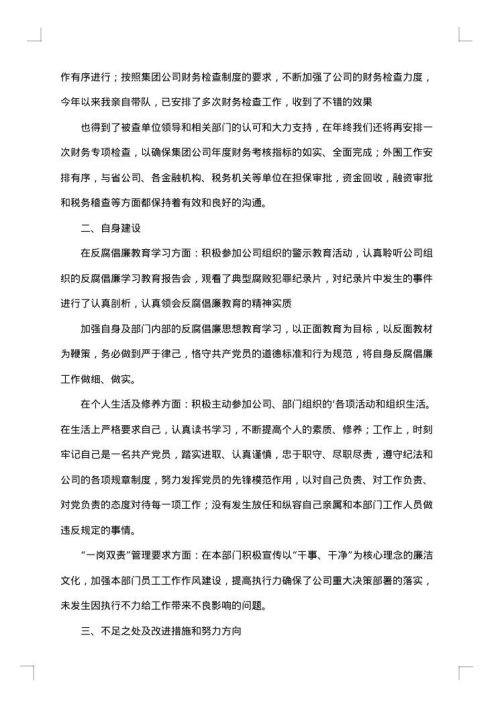 精选财务年度总结