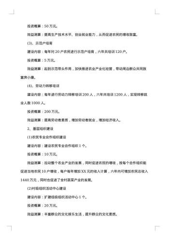 村脱贫计划书
