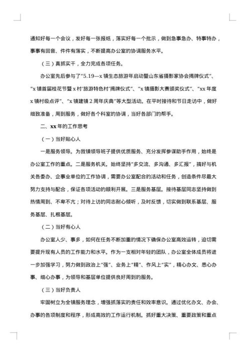 乡镇办公室主任工作总结范文