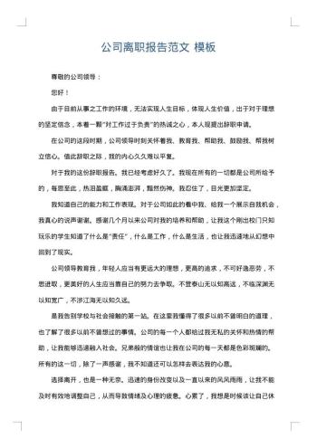 公司离职报告范文