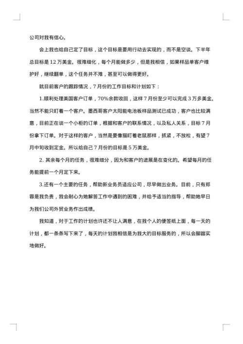 2025年销售上半年工作总结范文