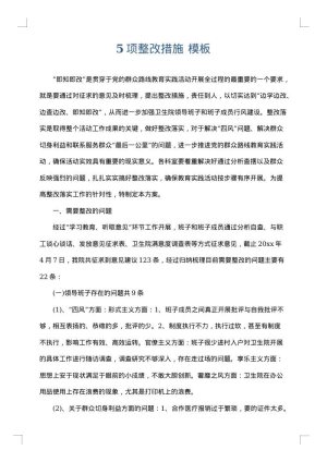 5项整改措施