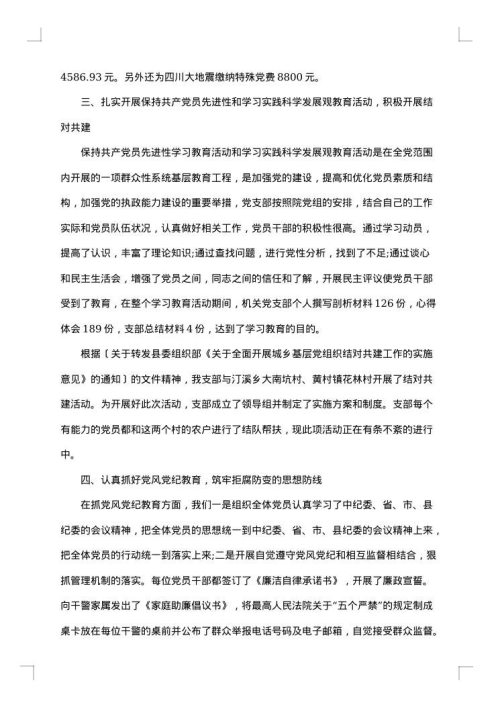 2025年党支部工作报告范文