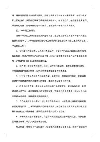 销售员个人工作总结范文