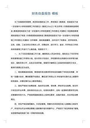 财务自查报告