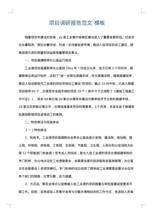 项目调研报告范文