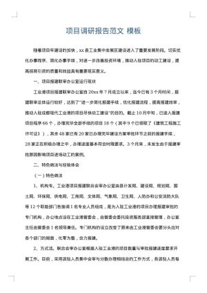 项目调研报告范文