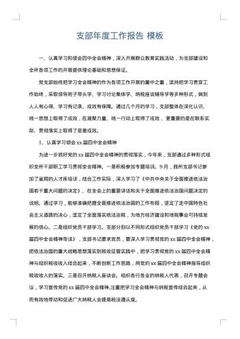 支部年度工作报告