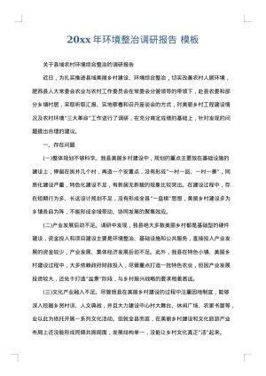 2025年环境整治调研报告