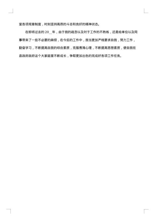 年度总结报告个人