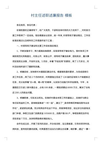 村主任述职述廉报告