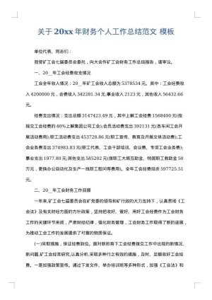 关于2025年财务个人工作总结范文