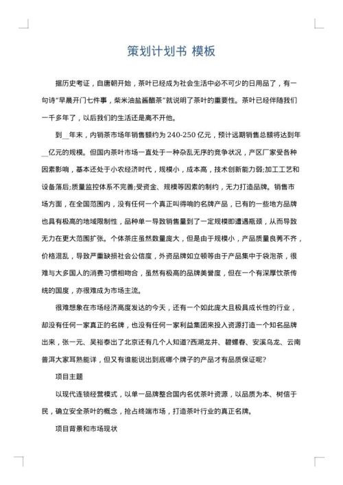 策划计划书
