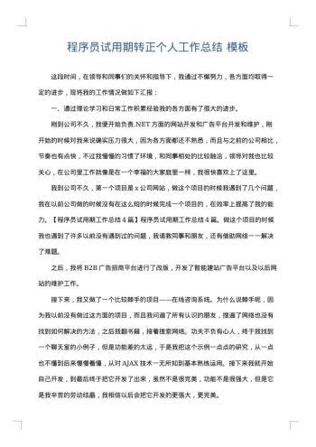程序员试用期转正个人工作总结