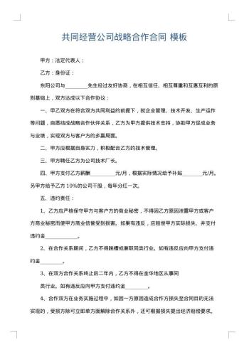 共同经营公司战略合作合同