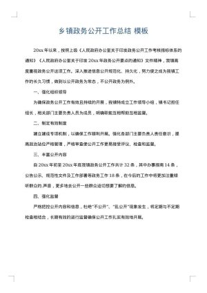 乡镇政务公开工作总结