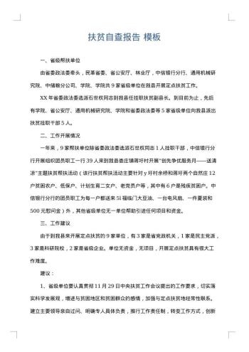 扶贫自查报告